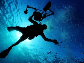 Buceo
